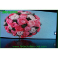 10mm DIP Competitive Price Outdoor Waterproof LED Video Dsplay